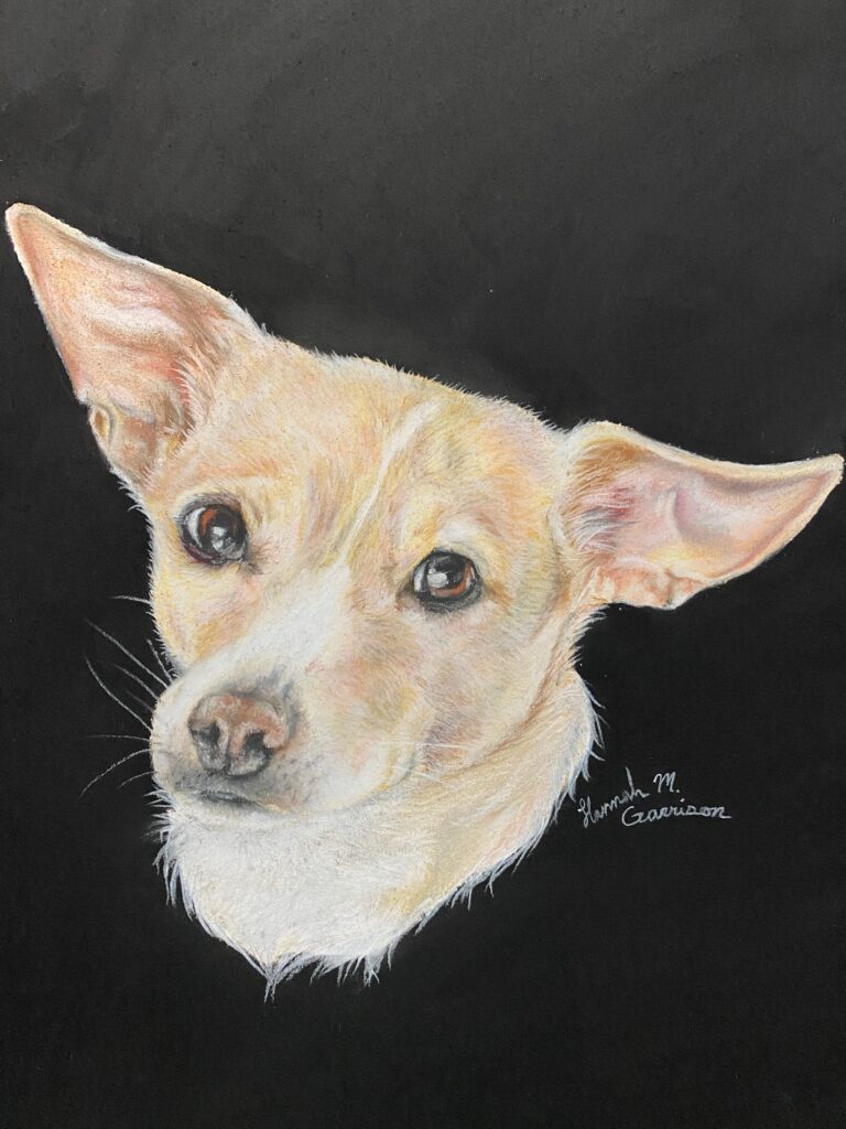 Chihuahua